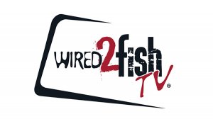 Wired2Fish TV 24/7