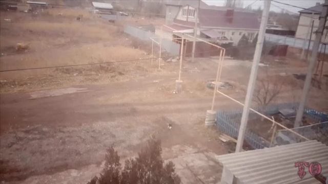 БУДНИ НАШЕГО ДОМАШНЕГО КОТА ВАСИЛИЯ смотреть онлайн