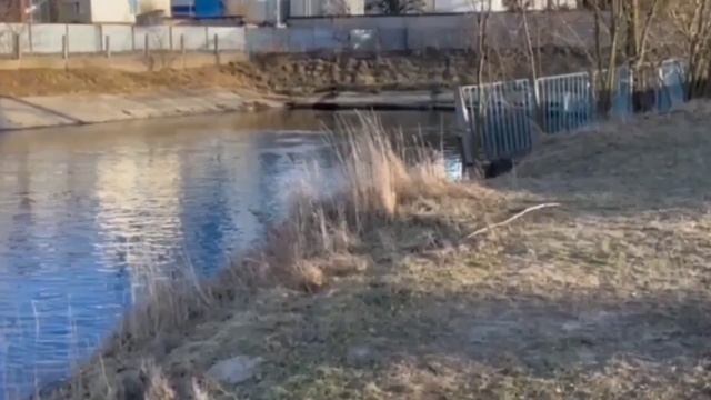 VREDINA LIFE. КОСТЯ ПОЙДЕТ РАБОТАТЬ ДВОРНИКОМ! смотреть онлайн