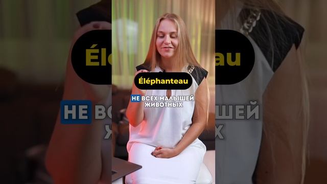 Как сказать слонЕНОК на французском ? #français #французский