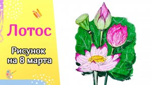 Как нарисовать Лотос / Рисунок к 8 марта / Скетчинг для начинающих