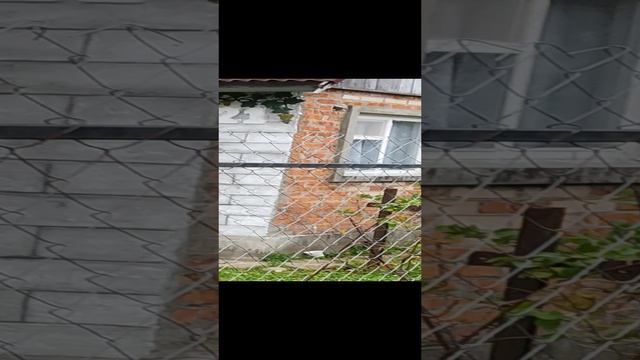 Выходные на даче 2023