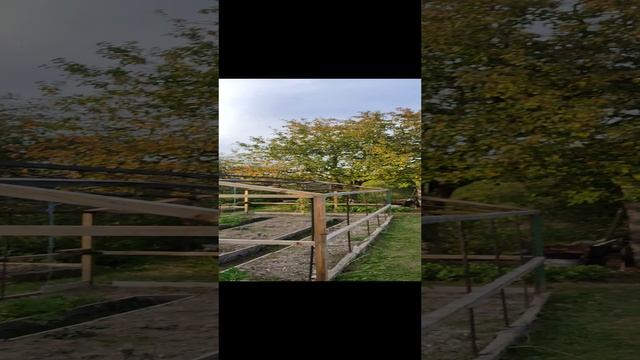 ремонт старой стены дома