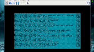 Installing slackware vm on kali linux with virtmanager.