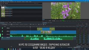 8. Базовая работа с таймлайном / Курс по Созданию Видео