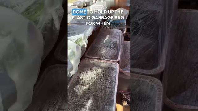 Repurposed plastic containers for seedlings germination