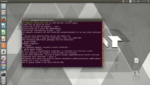How to install Geany on Ubuntu