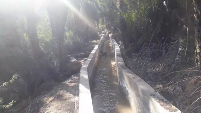 Musa Zai Sharif (3 Feb 2019) смотреть онлайн