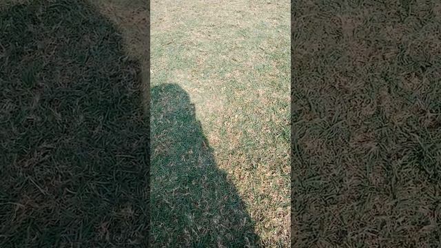 Apple i phone 6 and 5 and s6 whit ak 47 attack смотреть онлайн