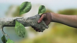 «Красная книга Карелии» и ее обитатели