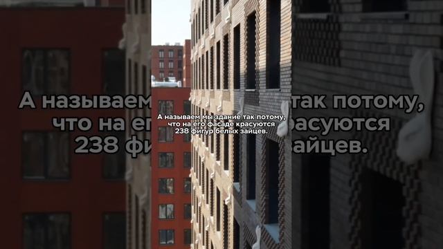 Очень много заек замечено в московском ЖК!
