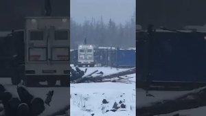 нападение медведя в Якутии на работников Газпром. 10.11.2023.