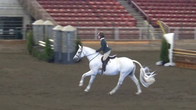 SNH2021 Caresso Performance Htr 33