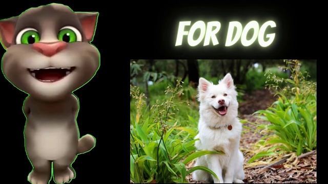 A for apple,b for ball,c for Cat, kids class,#toddlers #kidssong #abcdsongs