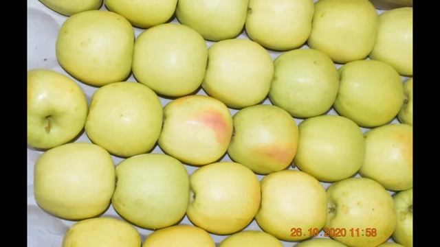 Organic Fruits- Apples, Oranges, Pomegranites, Guava and more смотреть онлайн