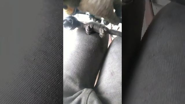 Замена подшипников ступецы ваз 2105 и рулевые тяги смотреть онлайн