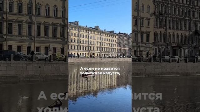 Погода в Питере весной. Что надевать? #петербург #saintpetersburg #питер #спб #новостипитер #spb