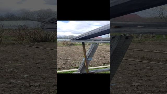 Выходные на даче 2023