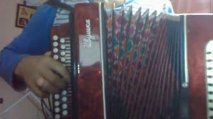 Гармонь "Ивушка" 1988г