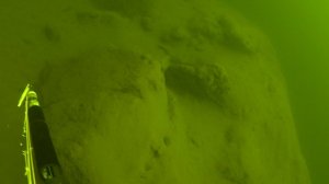 Осень. Судак. Классика.