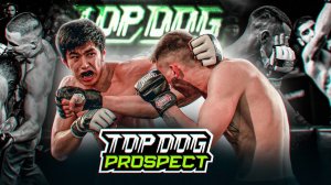 TOP DOG: PROSPECT 3