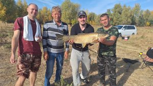 ДИКИЕ ПОКЛЕВКИ! Отличное закрытие карпового сезона 2024. Подводная охота.