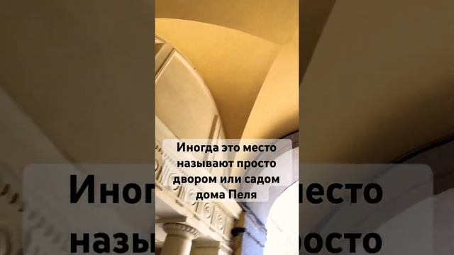 Питер! Тайный оазис на Литейном проспекте, которому уже больше века!#путешествия #питер #travel #спб