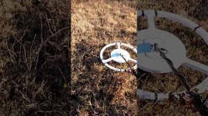 Разработки от Георадарщика, облегчающие поиск кладоискателей. Штанга и экзоскелет.