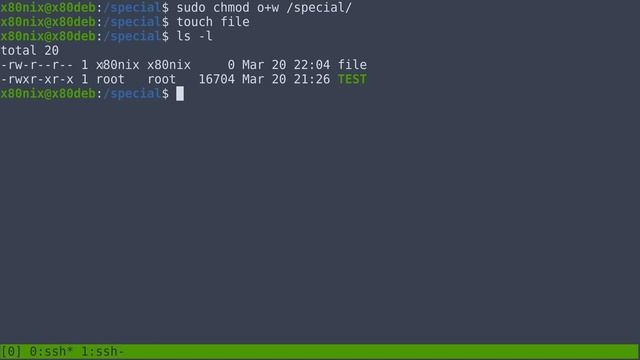 Linux Special Permissions