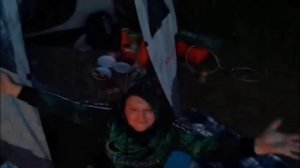 Сектор газа