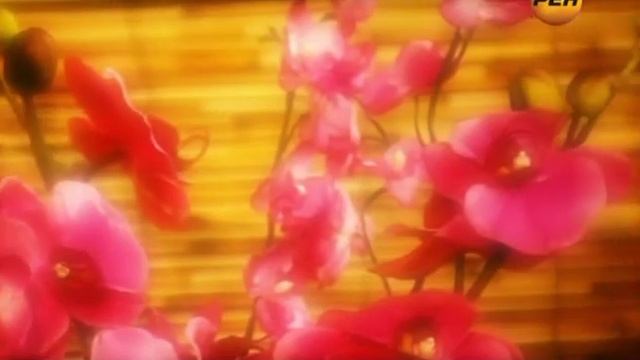 Эликсир молодости смотреть онлайн