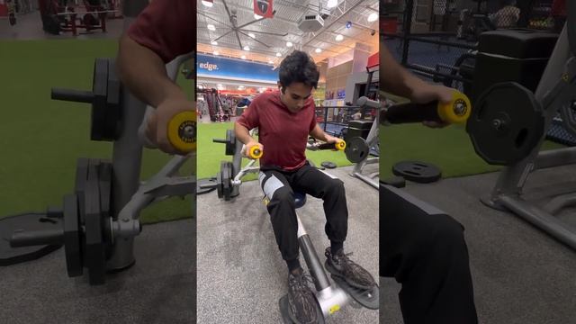 Seated dips смотреть онлайн