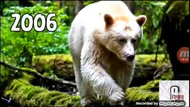 Дикие жывотные