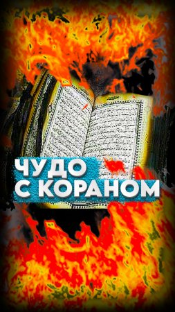 🔥ЧУДО КОРАНА ПОРАЗИЛО АМЕРИКУ📚