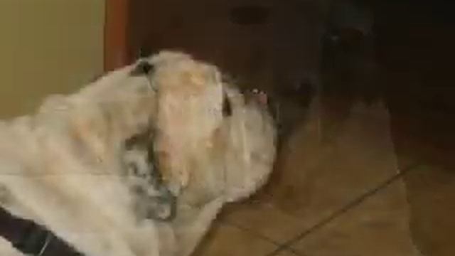 My Maxx 6/1/10 смотреть онлайн