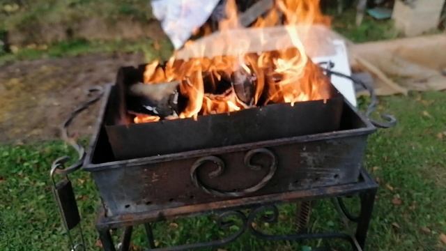 Первое яйцо от индюшки.