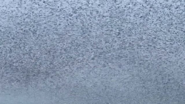 Amazing murmuration of Starlings смотреть онлайн