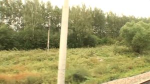 Дальнереченск. Приморский край вид из окна поезда