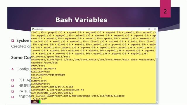 linux administrator:13  System Variables
