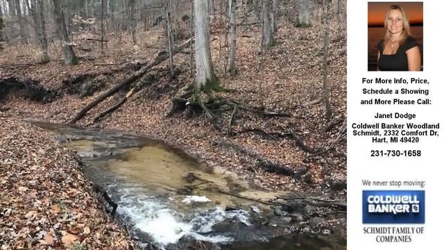 6966 W RIVERVIEW, Grant, MI Presented by Janet Dodge. смотреть онлайн