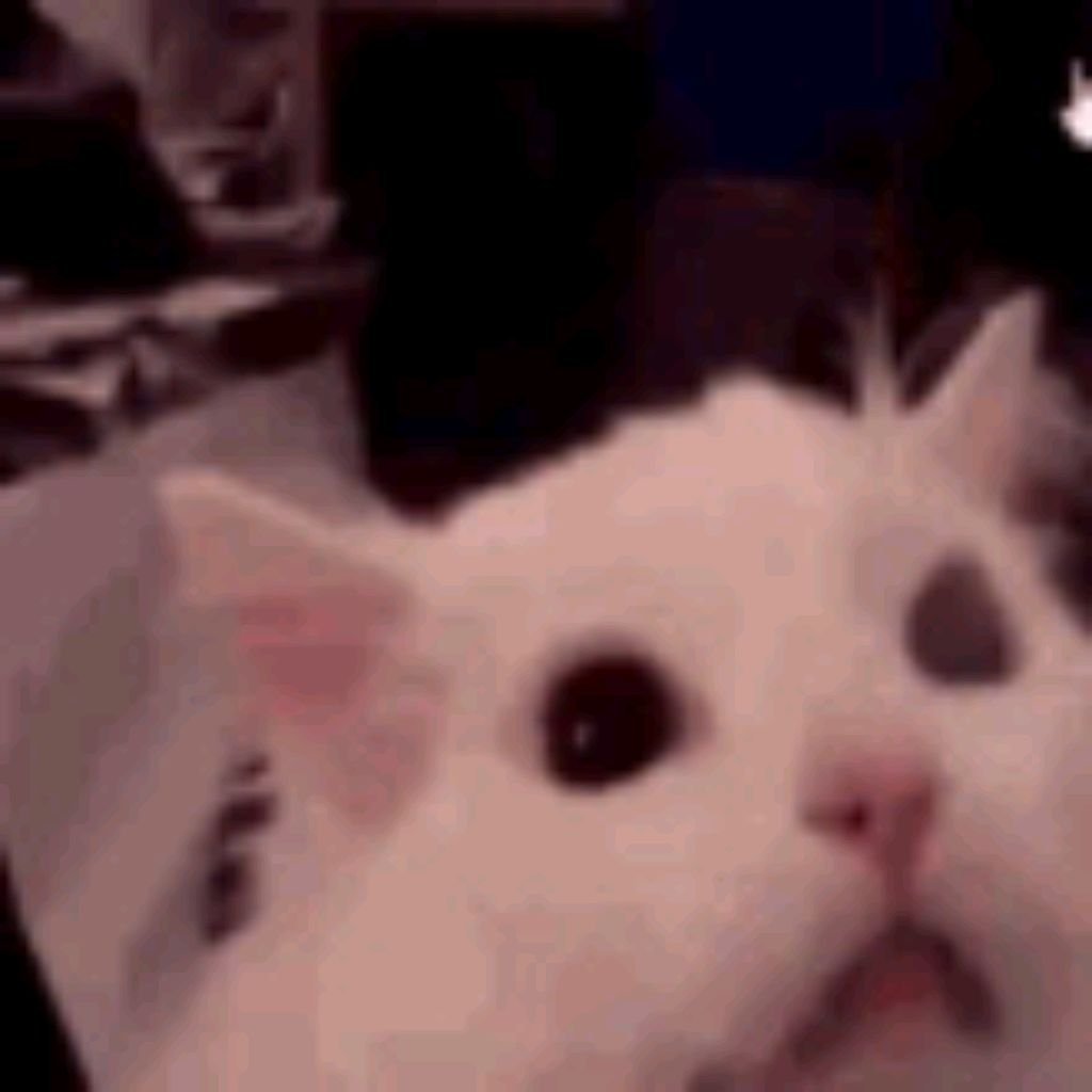 #aesthetic