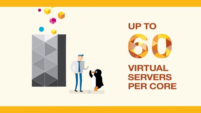 IBM   Enterprise Linux Server