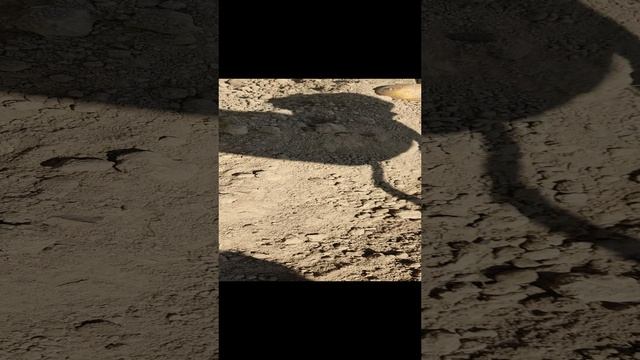 Выходные на даче 2023