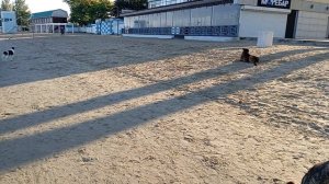 анапа центральный пляж море остыло +16