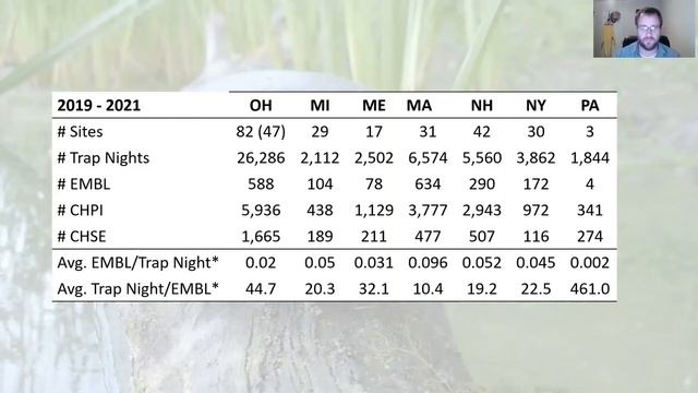Let's Talk Turtles, Toledo смотреть онлайн