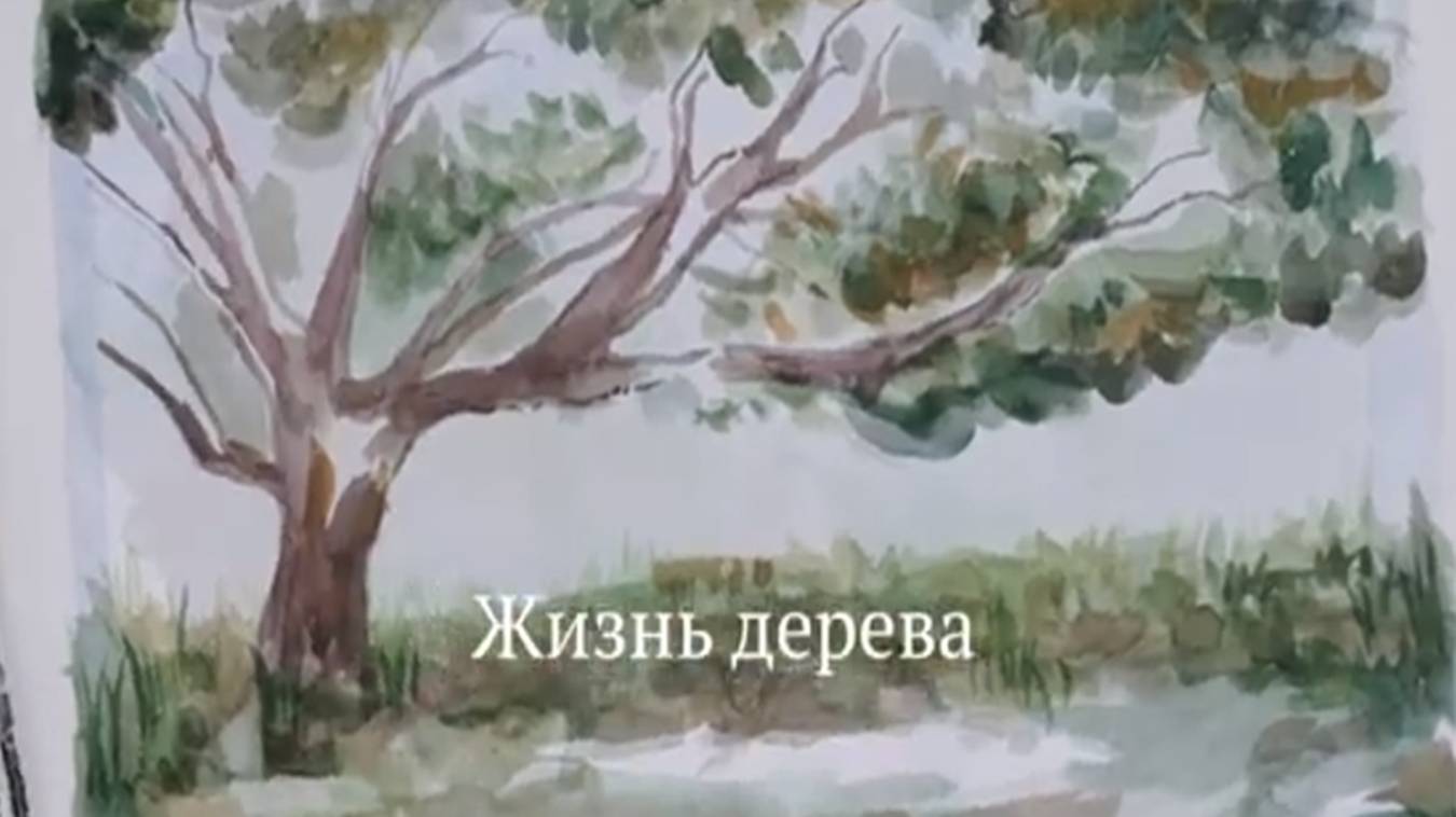 Жизнь дерева
