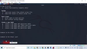 Disk Partition Linux