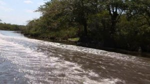 river ride to the temple of the Jaguar on the New River in Belize