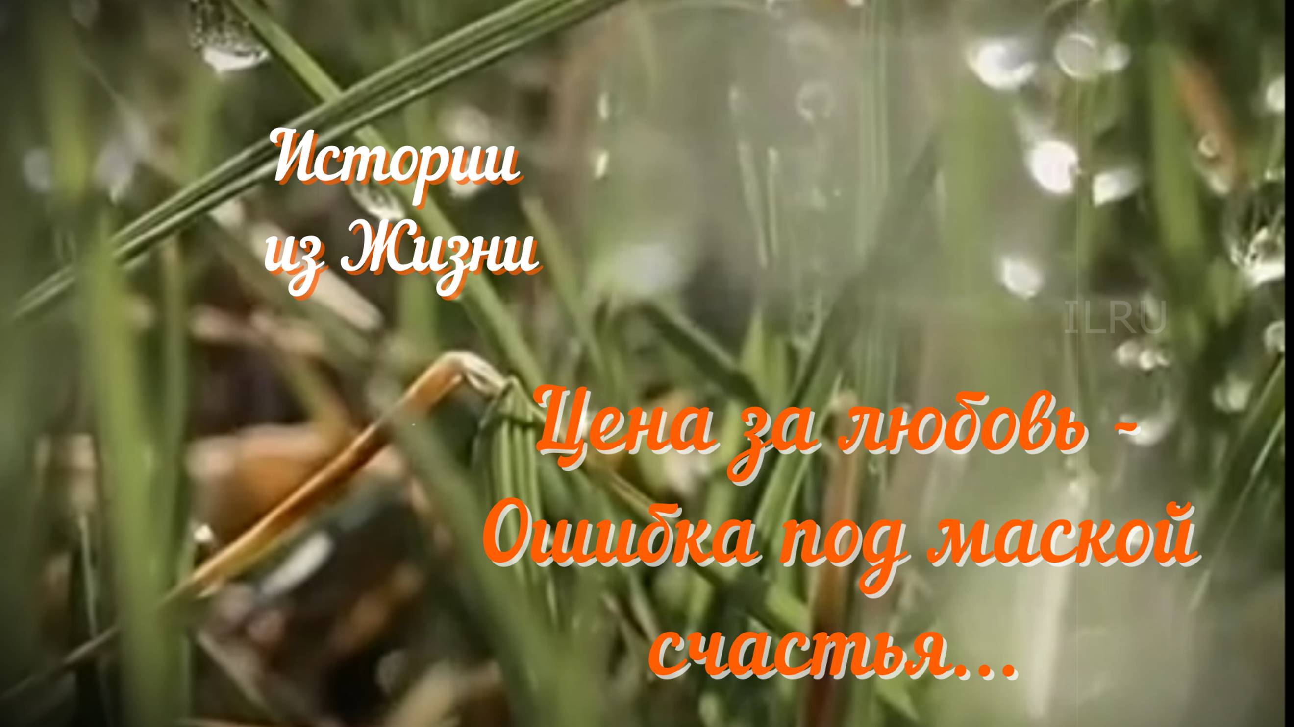 Истории из жизни - Цена за любовь - Ошибка под маской счастья #историилюбвииизмен #историилюбви