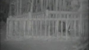 Pulsar Digisight N355 Ultra